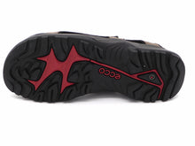 Afbeelding in Gallery-weergave laden, 252-19-006 Heren Sandalen Sportief Ecco Offroad 822044-02114 Donkerbeige (2645)